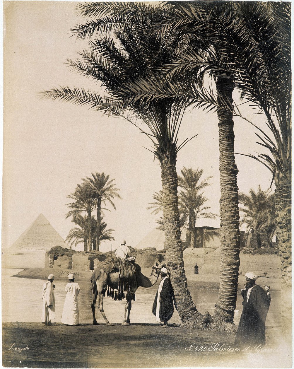 Palmový háj na úpatí egyptských pyramid - fotografie bratří Zangali, konec 19. století od Brothers Zangaki