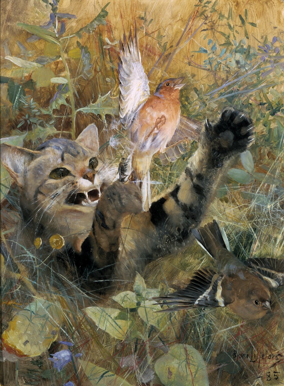 Kočka a pěnkava, 1885 od Bruno Andreas Liljefors
