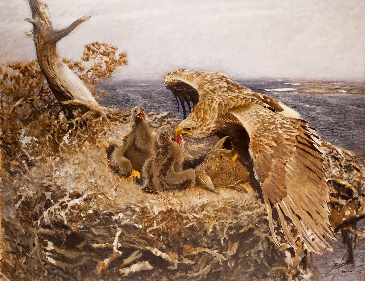Hnízdo orla mořského, 1907 od Bruno Andreas Liljefors