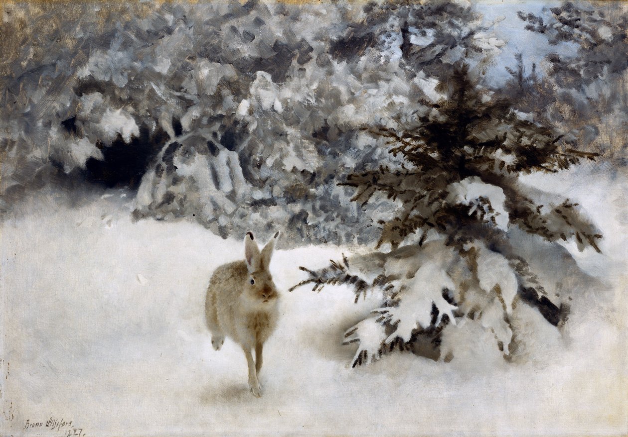 Zajíc ve sněhu od Bruno Andreas Liljefors