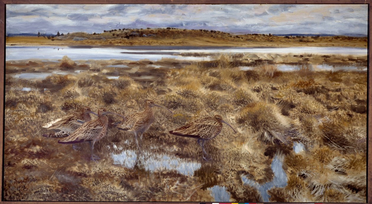 Curlews Ptáci v bažinách. Obraz Bruna Andrease Liljeforse (1860-1939) 1913 Ne. 1,19x2,2m od Bruno Andreas Liljefors
