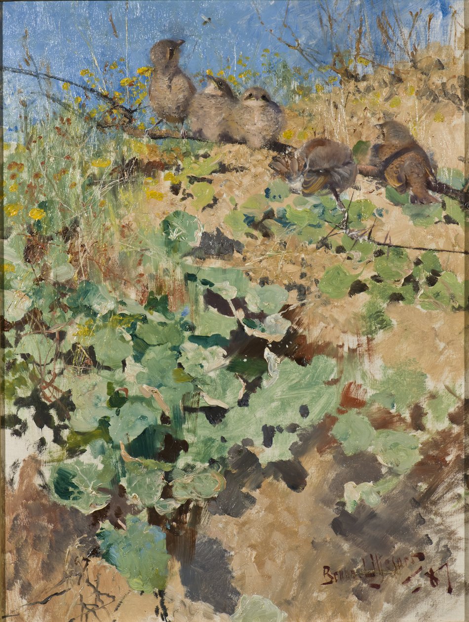 Nestlings of Red-Backed Shrike, 1887 od Bruno Andreas Liljefors