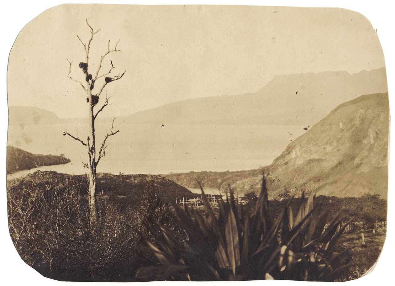 Jezero a hora Tarawera z Te Wairoa, 1860 (albumenový tisk) od Bruno Hamel