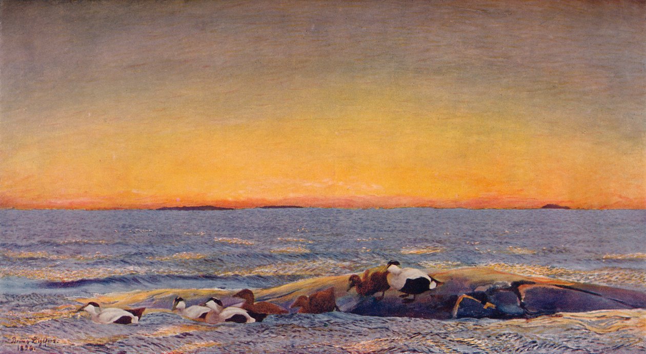 Východ slunce, 1896 od Bruno Andreas Liljefors