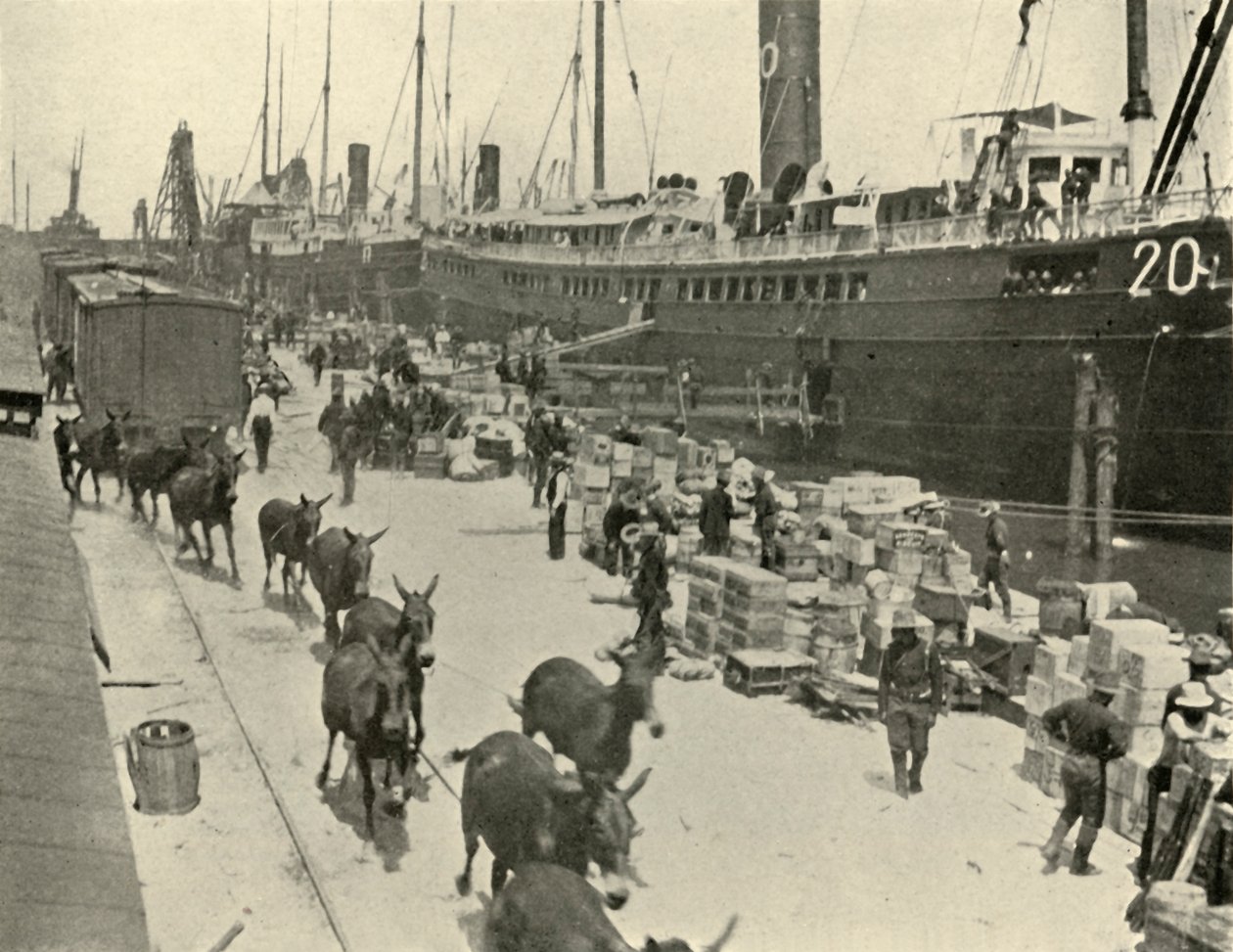Vojská v Port Tampa, Florida, USA, španělsko-americká válka, 10. června 1898, 1899. od Burr McIntosh