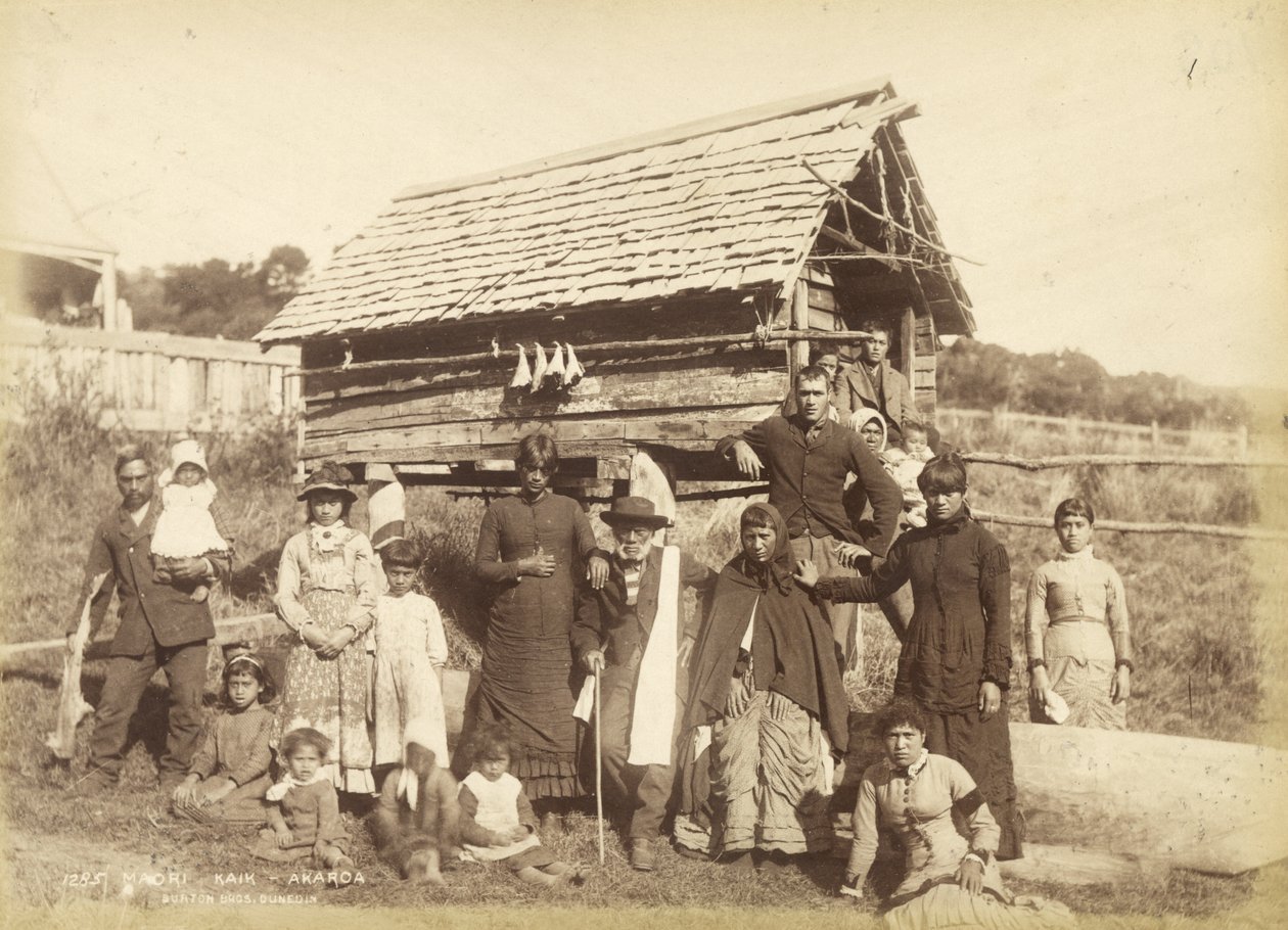 Maori Kaik - Akoroa, cca 1884 (albumenový tisk) od Burton Brothers Studio