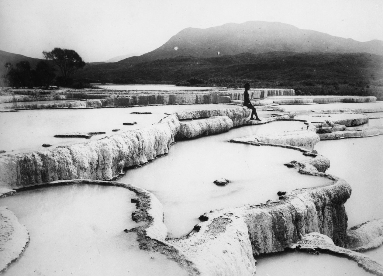 The Hot Water Basins & White Terraces, cca 1880 (černobílá fotografie) od Burton Brothers Studio