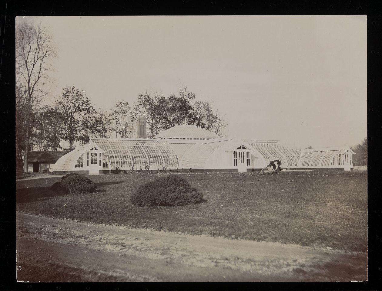 Skleník na panství John Jacob Astor v Rhinecliff, NY, 1893-94 (stříbrný želatinový tisk) od Byron Company