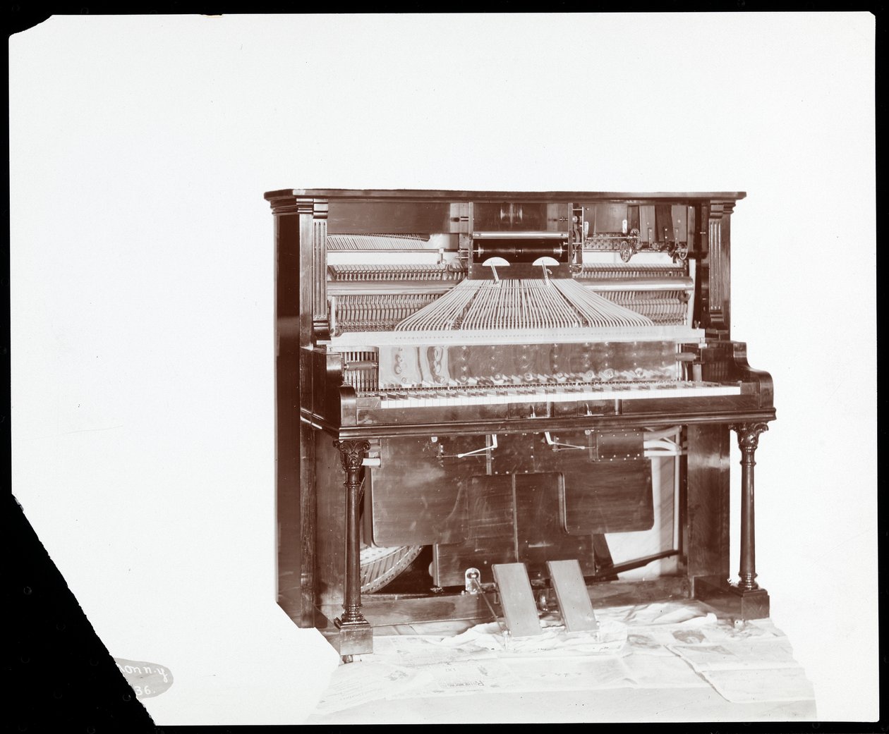 Hráč na klavír od Ricca and Son Piano Co., 1907 (stříbrný želatinový tisk) od Byron Company