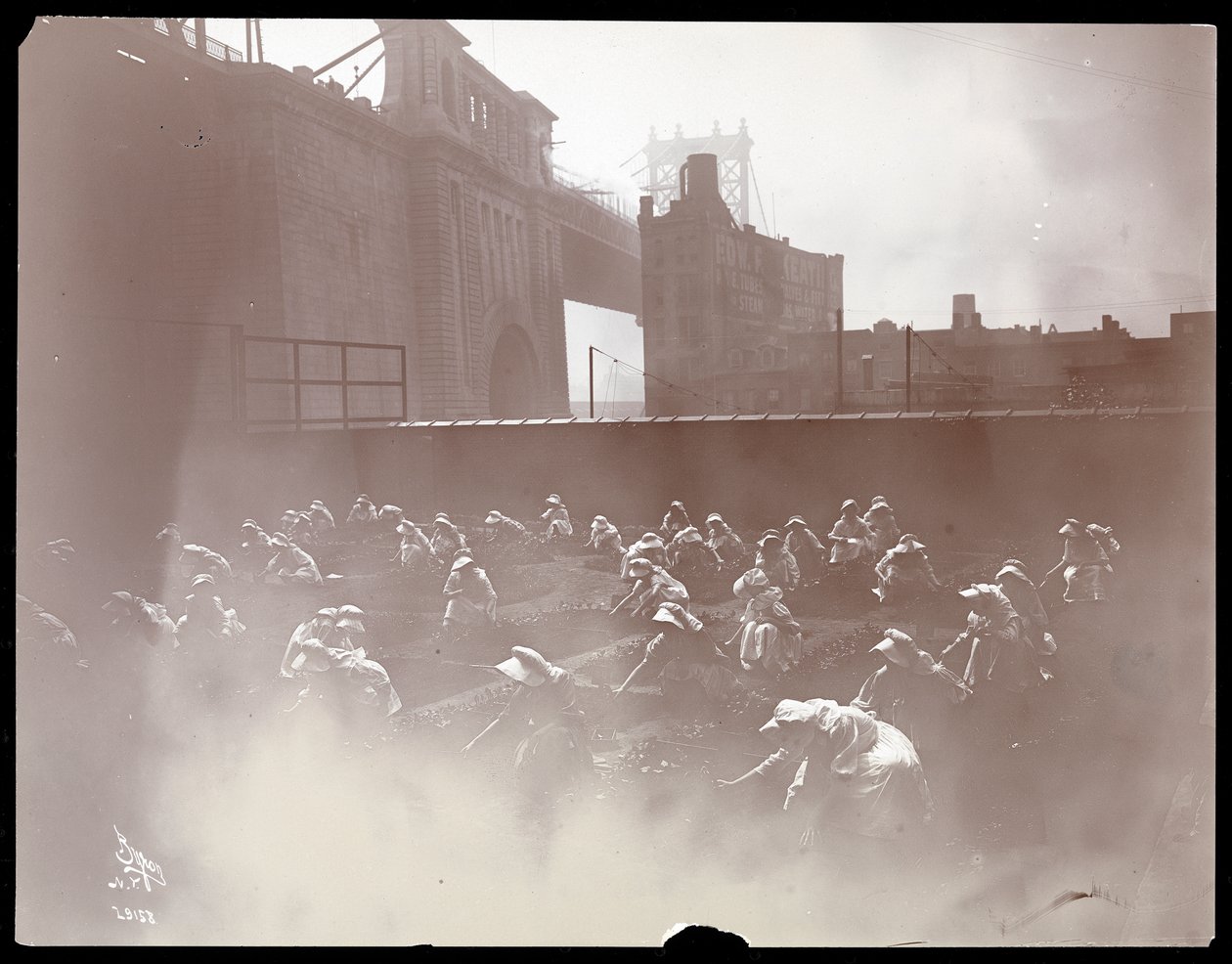 Dívky pracující na střešní zeleninové zahradě, Manhattan Bridge viditelný za ní, New York, 1910 (stříbrný želatinový tisk) od Byron Company