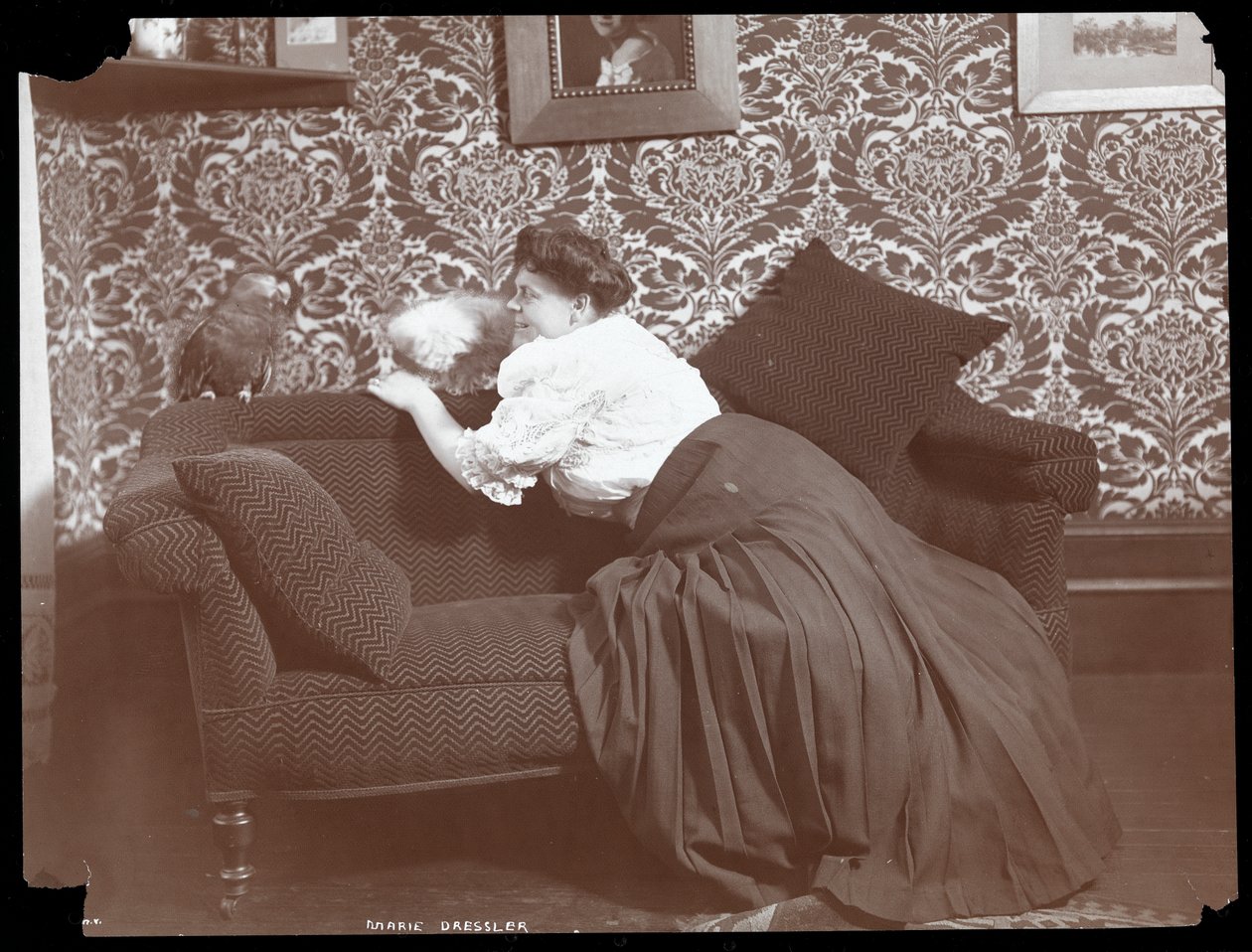 Marie Dresslerová doma se psem a papouškem, 1905 (stříbrný želatinový tisk) od Byron Company