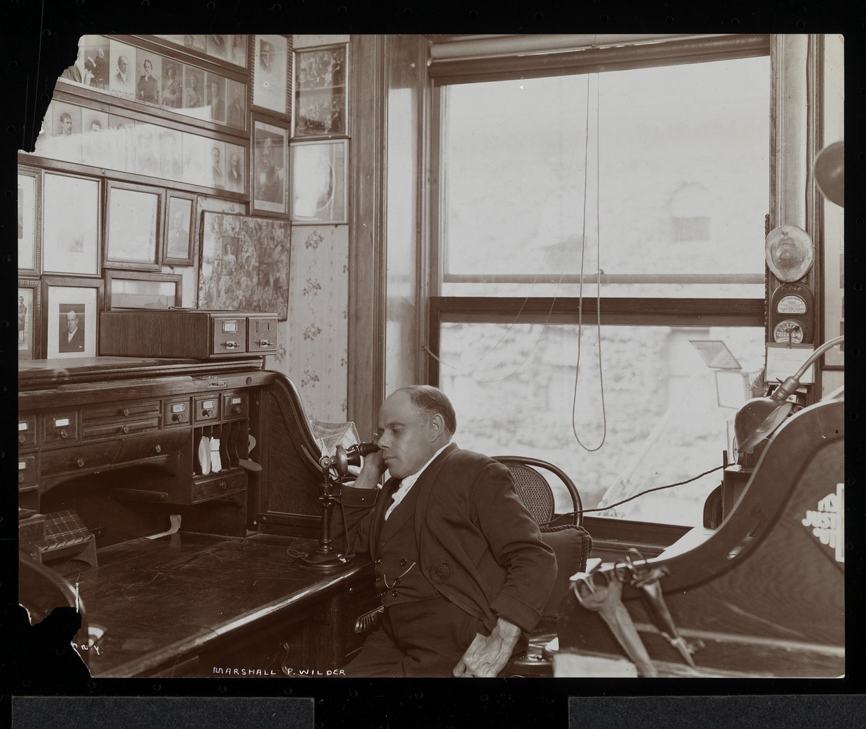 Marshall P. Wilder na telefonu ve své kanceláři, 1898-99 (stříbrný želatinový tisk) od Byron Company