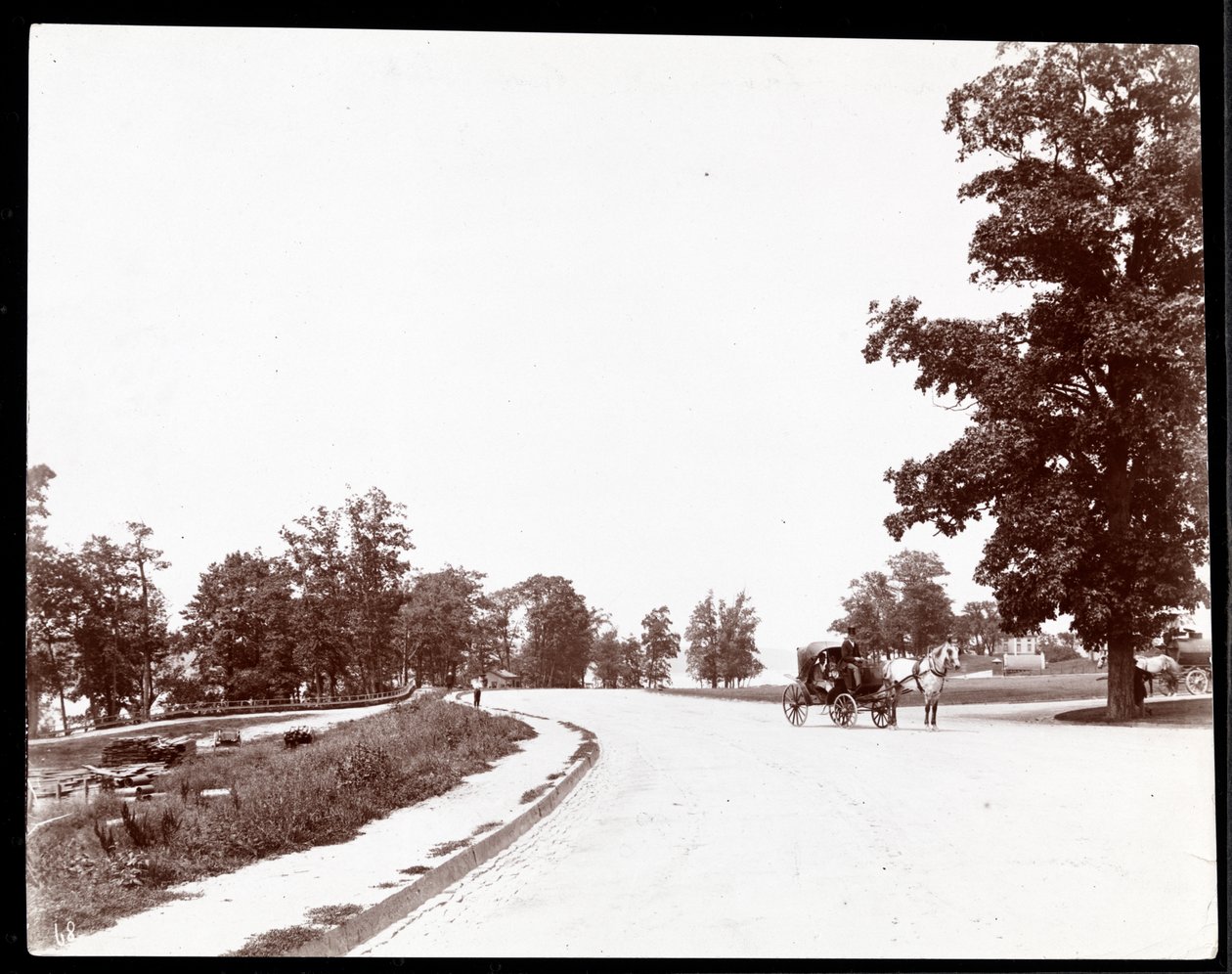 Pohled na kočár tažený koňmi na Riverside Drive, New York, kolem roku 1893 (potisk stříbrné želatiny) od Byron Company