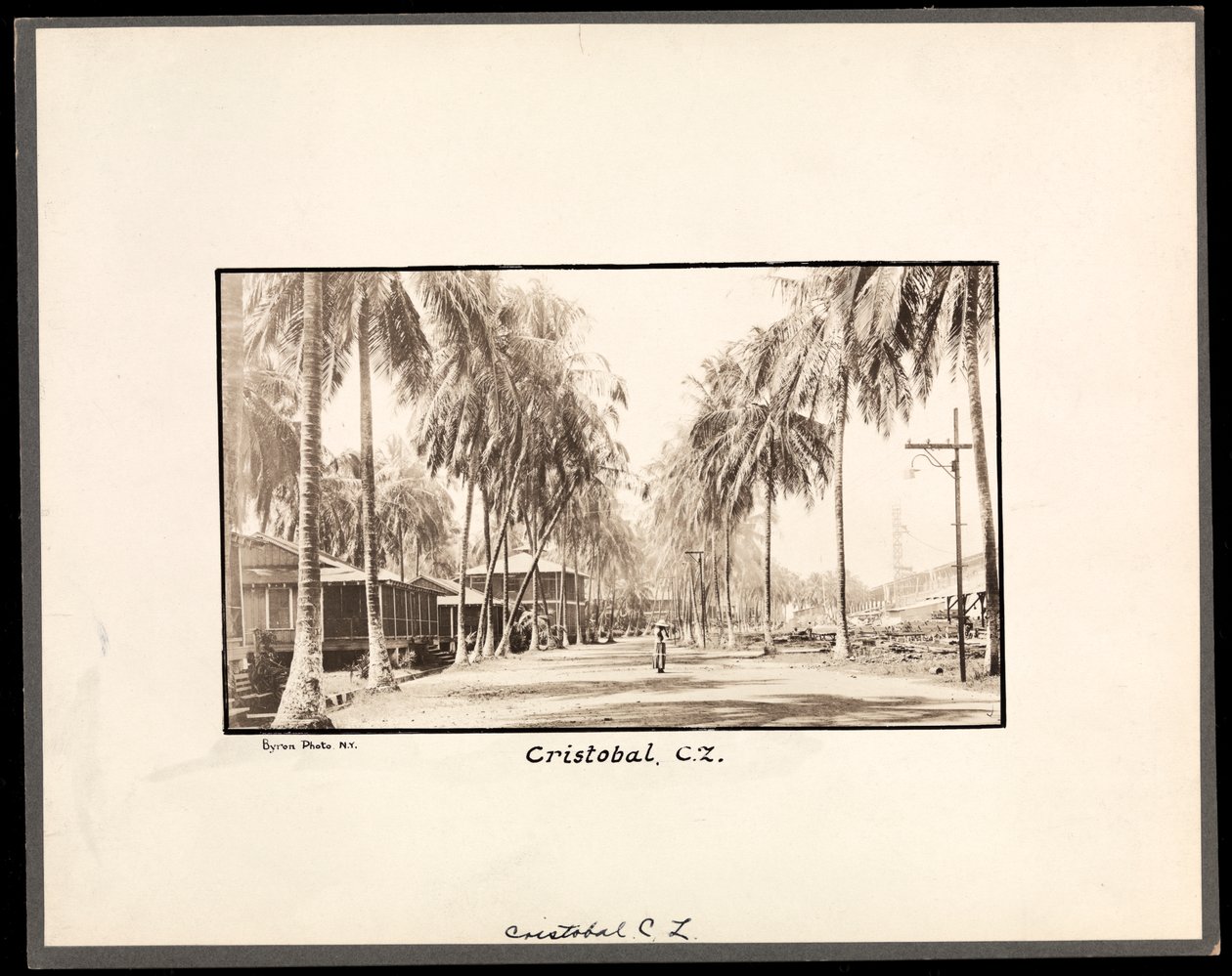 Pohled na palmami lemovanou polní cestu přes Cristobal, Panama, během výstavby kanálu, 1912 nebo 1913 (stříbrný želatinový tisk) od Byron Company
