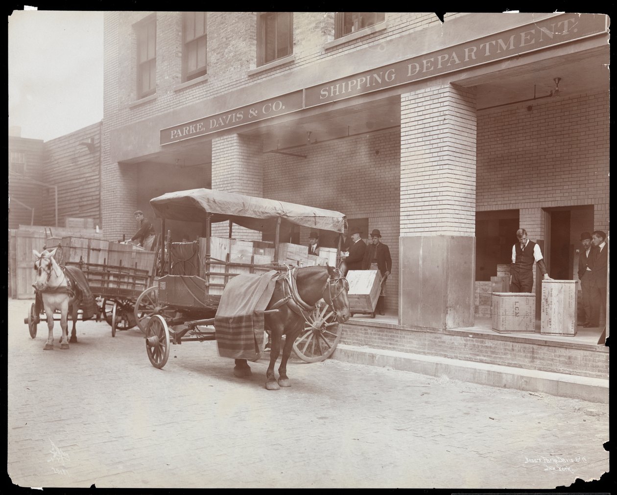 Pohled na nakládací rampu expedičního oddělení v Parke, Davis und Co., chemici, Hudson und Vestry Streets, New York, 1910 (stříbrný želatinový tisk) od Byron Company