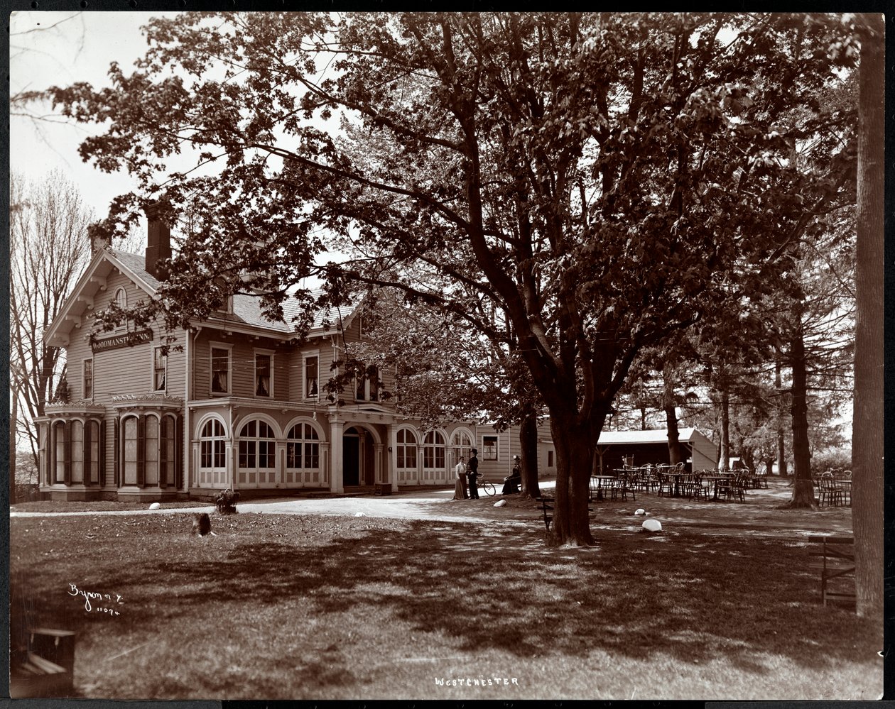 Pohled skrz stromy na Woodmansten Inn, Westchester, New York, 1901 (stříbrný želatinový tisk) od Byron Company