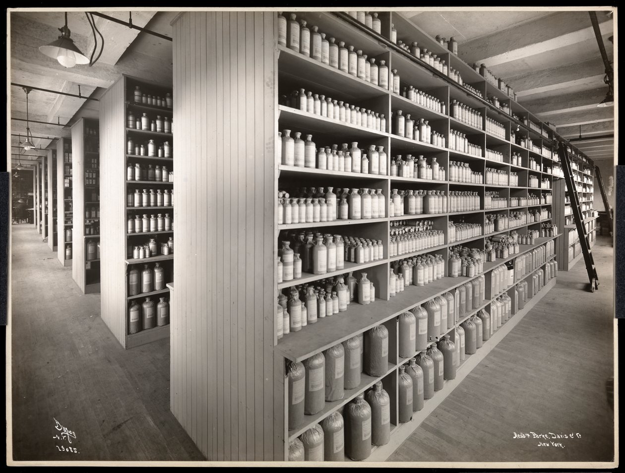 Vnitřní pohled na sklad chemikálií v Parke, Davis und Co., chemici, Hudson und Vestry Streets, New York, 1910 (potisk stříbrné želatiny) od Byron Company