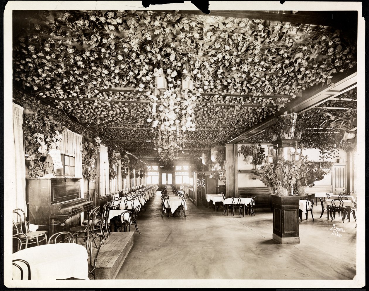 Jídelna v hotelu Dolphin, New York, 1915 (stříbrný želatinový tisk) od Byron Company