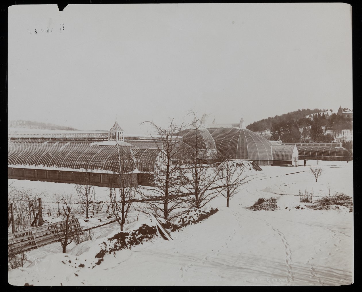 Skleníky ve sněhu v panství Helen Gould (pozdní rezidence Jay Gould) v Tarrytown, New York, 1894 (stříbrný želatinový tisk) od Byron Company