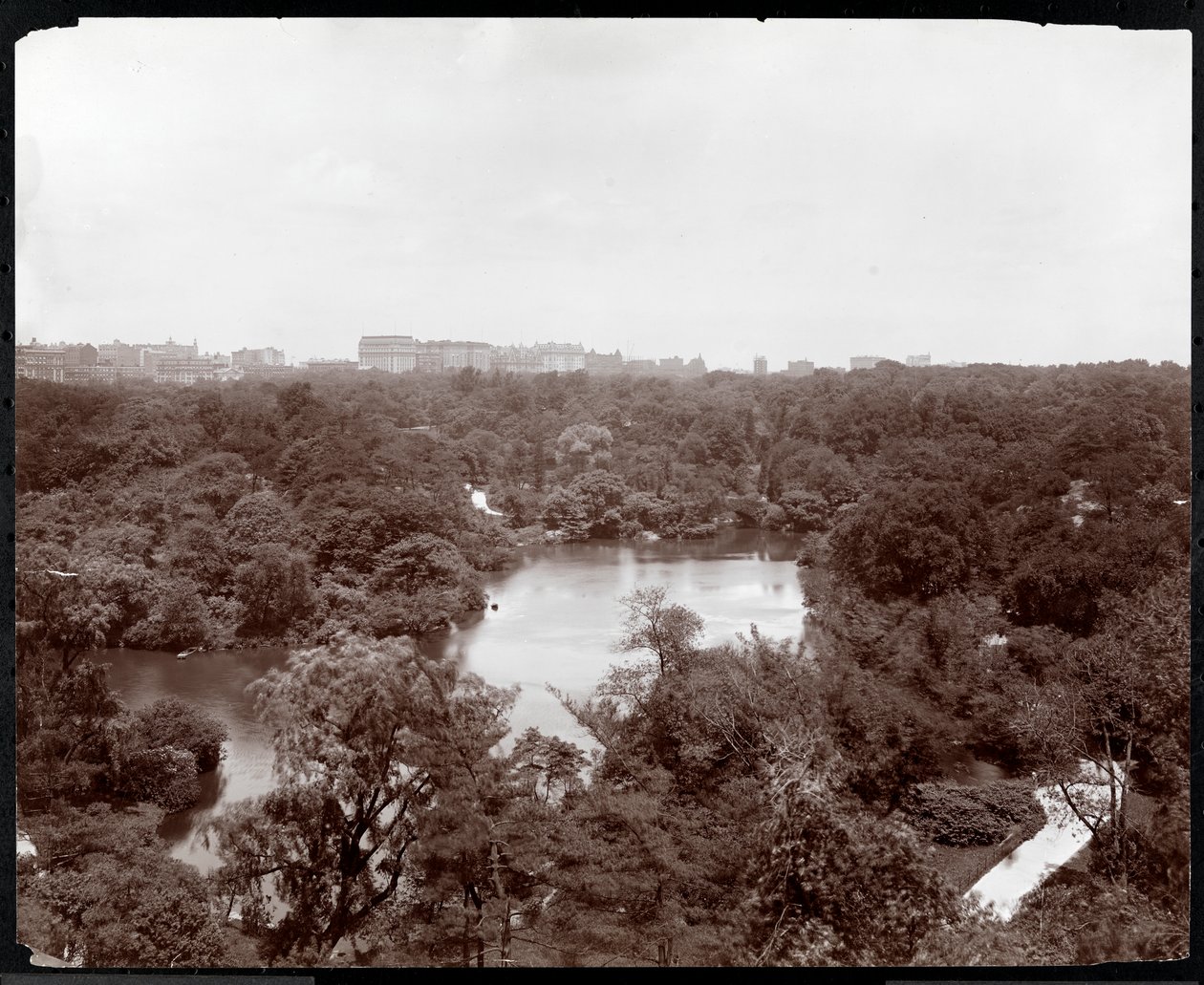Pohled na Central Park z hotelu Plaza, 5th Avenue a 59th Street, New York, 1907 (stříbrný želatinový tisk) od Byron Company
