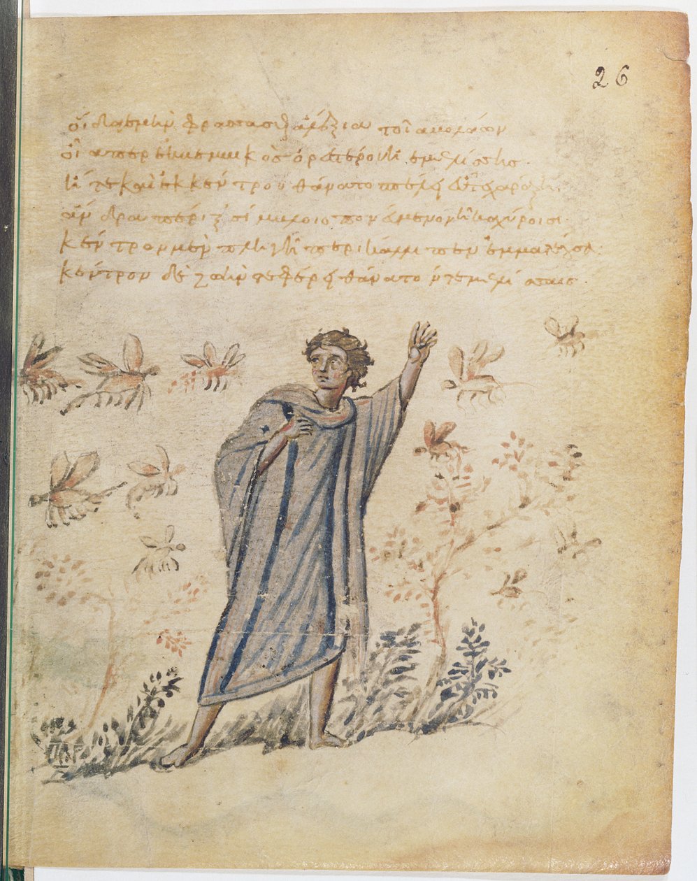 Ms Supp Grec 247 fol.3 Muž utíkající včelám, ilustrace z Theriaca z Nicandera z Kolofonu (fl.2. století př. Kr.) od Byzantine
