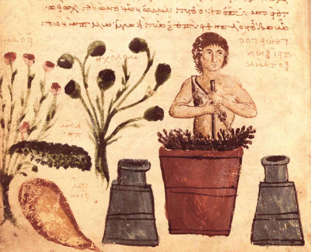 Ms Supp Grec 247 fol. 5 Rolník připravující mast na ochranu proti hadům, z Theriaca Nicandera z Kolofonu (fl.2. století př. Kr.) od Byzantine