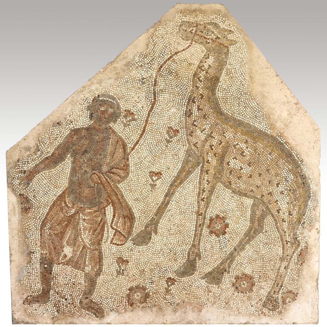 Fragment mozaiky s mužem vedoucím žirafu, 401-500 n. l. (kámen v maltě) od Byzantine