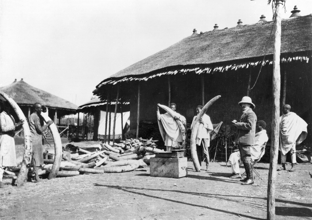 Sklady slonoviny v Addis Abebě, Etiopie, cca 1900 (černobílá fotografie) od C. Chusseau Flaviens