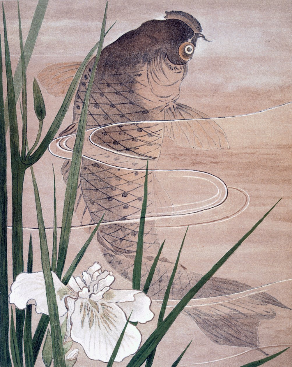 Ryba od C. F. Kell
