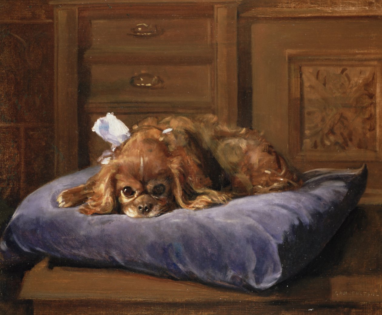 King Charles španěl (olej) od C. Fulton