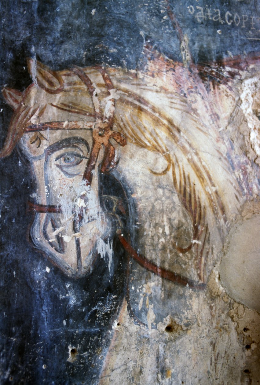 Kůň, detail z fresky v kostele Agios Georgios, Vathiako, Kréta, Řecko (foto) od J.B. and Brown J. Rowbotham