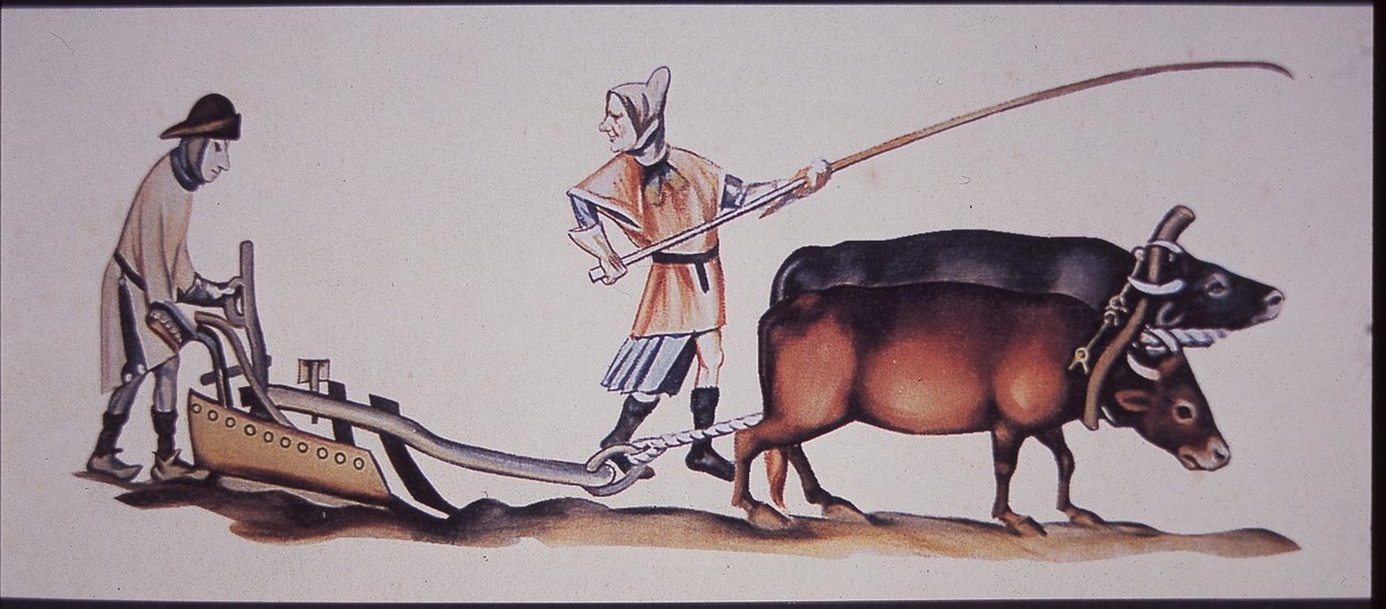 Středověcí muži orající voly, ze scény z Luttrellova žaltáře (barevné lito) od J.B. and Brown J. Rowbotham