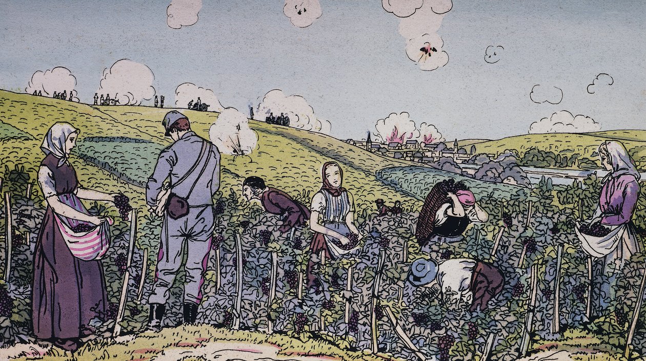 Naši vinaři sklízeli pod palbou, sklizeň v oblasti Champagne v roce 1914, 1. světová válka, Francie, 20. století od J.B. and Brown J. Rowbotham