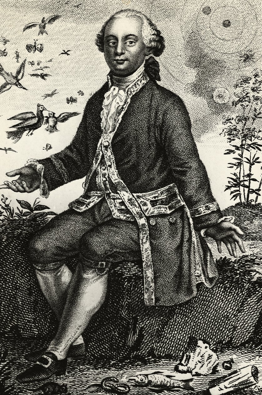 Portrét Georges-Louis Leclerc de Buffon (1707-1788), francouzský přírodovědec a matematik, rytina od J.B. and Brown J. Rowbotham