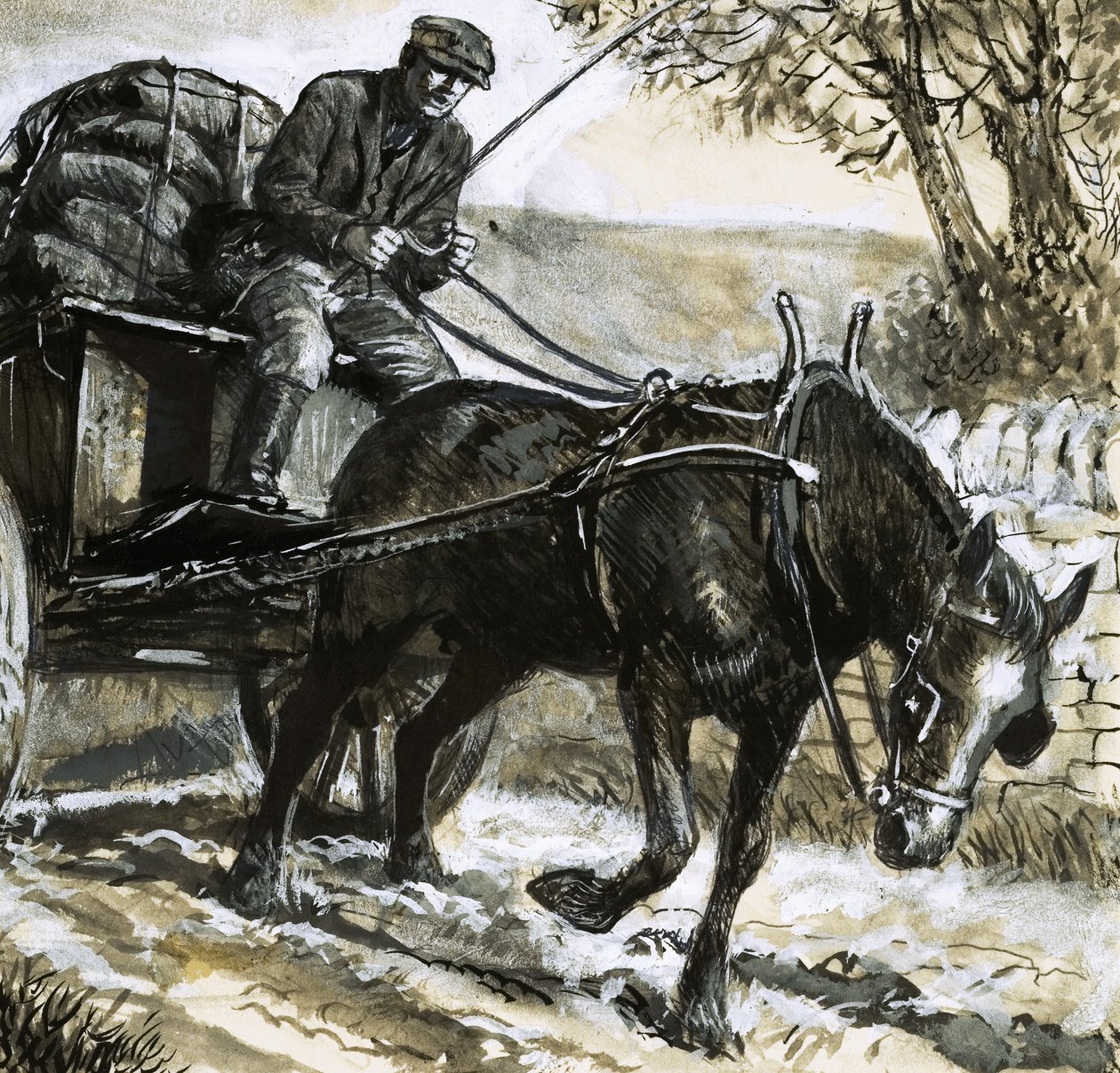 Koně byli podvyživení a přetěžovaní. od C.L. Doughty