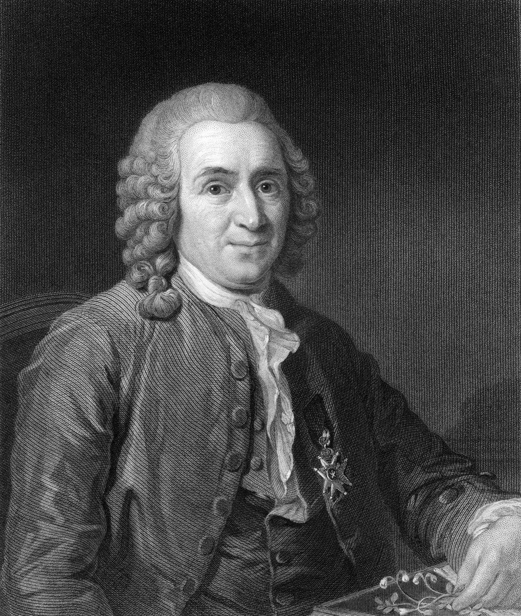 Carolus Linnaeus, švédský přírodovědec z 18. století, 1836. od C. E. Wagstaff