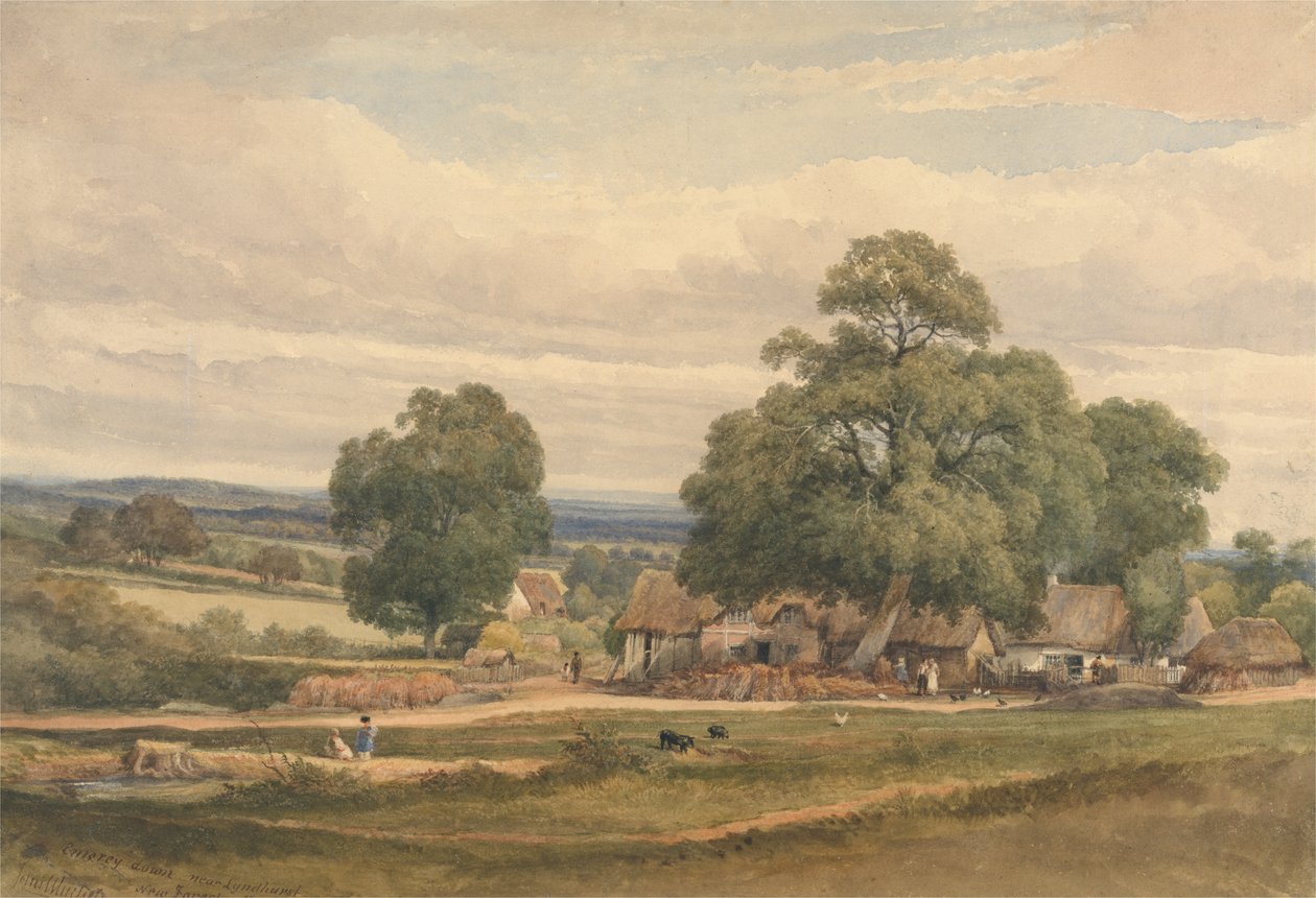 Emery Down poblíž Lyndhurst, New Forest, Hants (akvarel a grafit na papíře) od C. John Mayle Whichelo