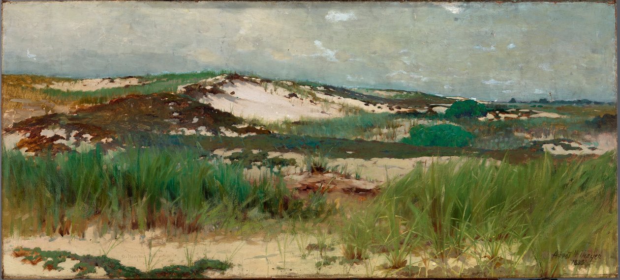 Nantucketská písečná duna od C. Morgan McIlhenney