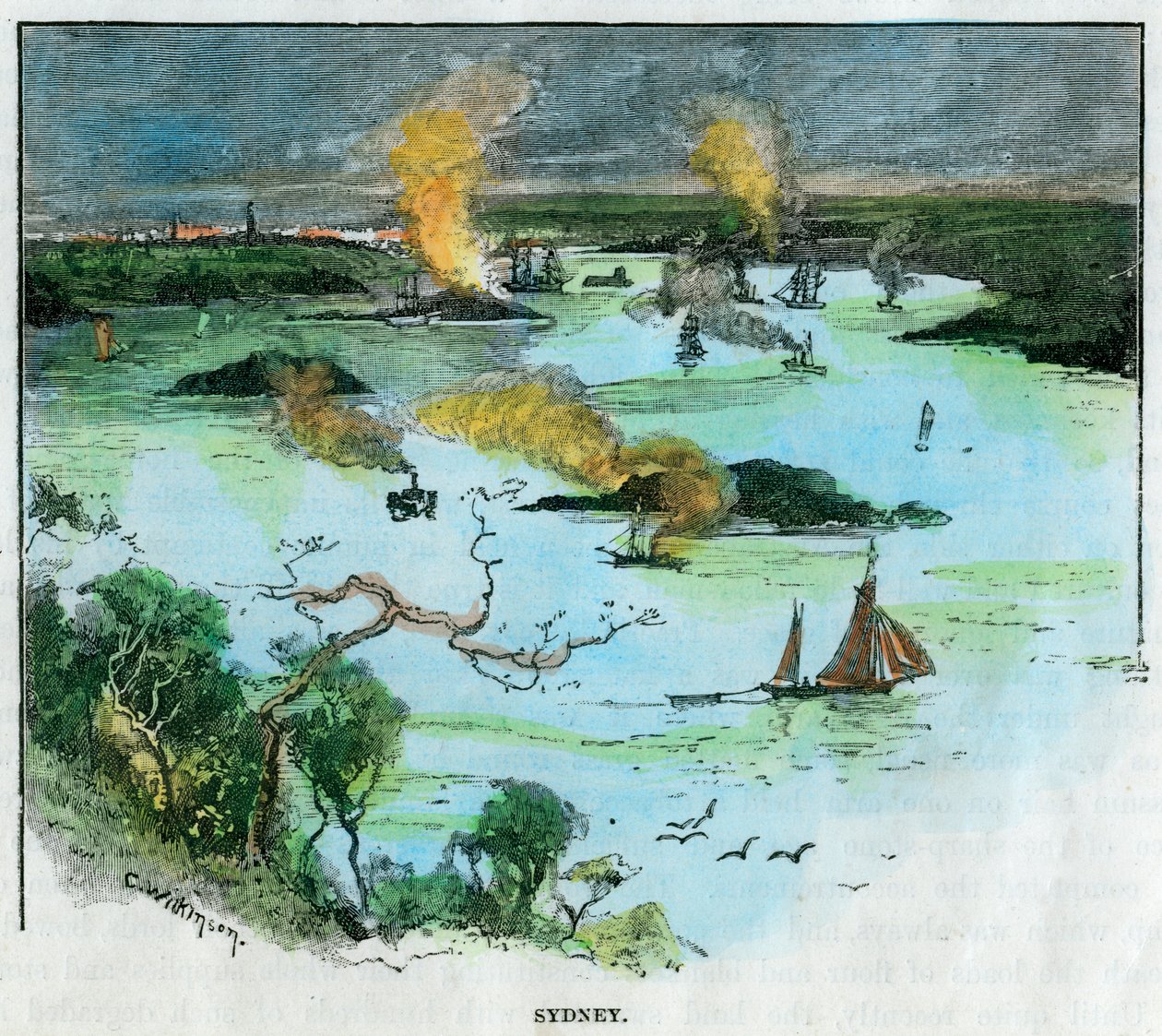 Sydney, Nový Jižní Wales, Austrálie, c1885. od C. Wilkinson