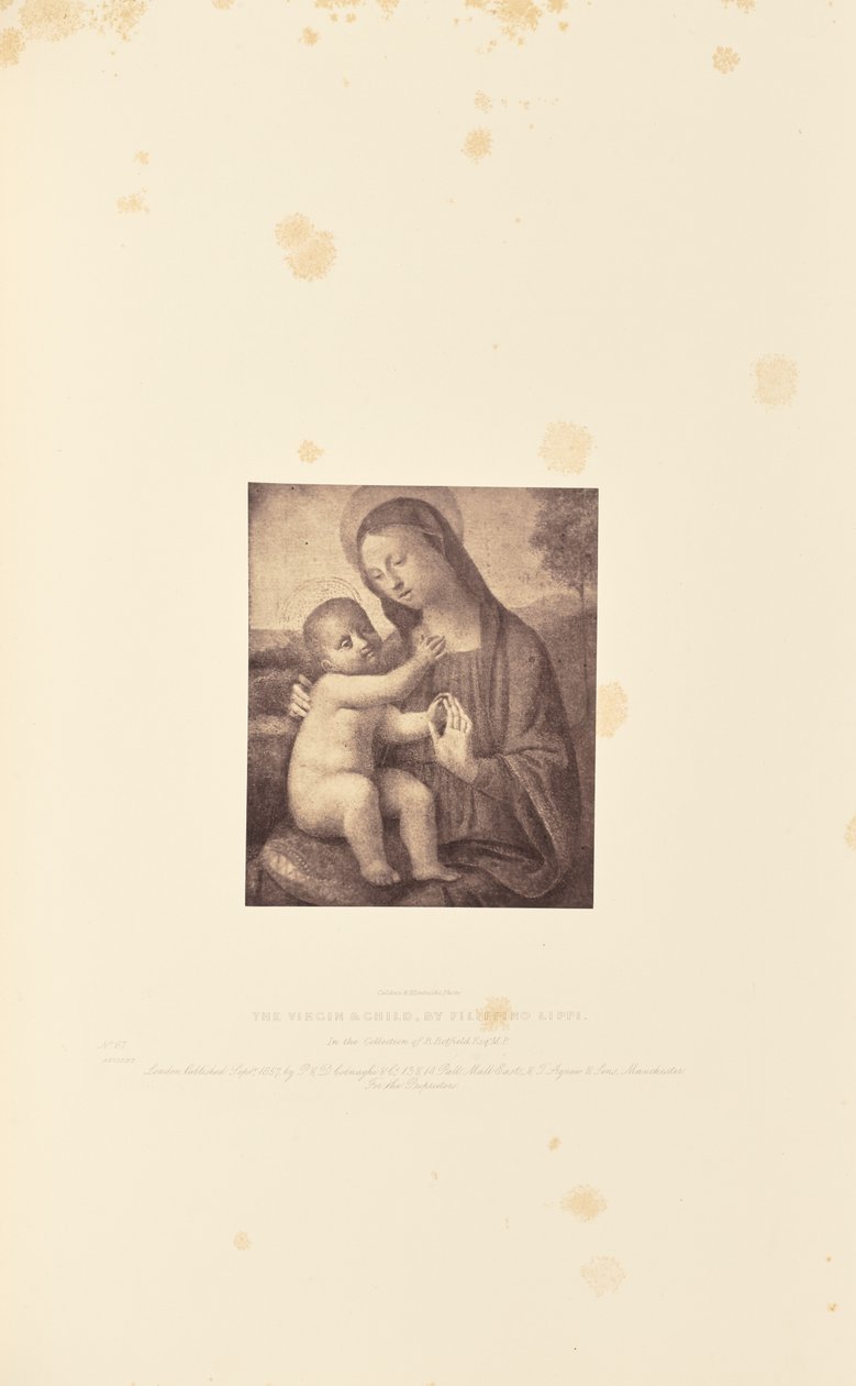 Panna s dítětem, Filippino Lippi od Caldesi and Montecchi