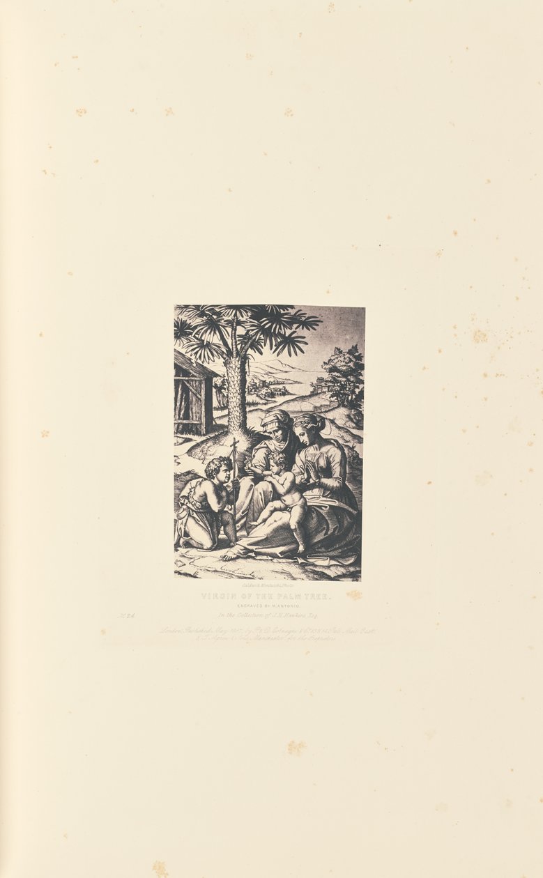 Panna Marie Palmová, rytina M. Antonio od Caldesi and Montecchi