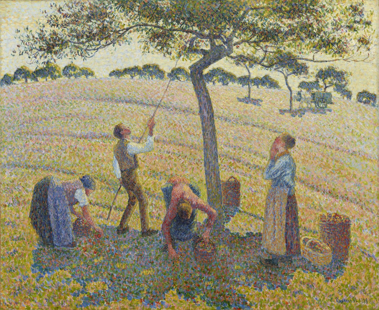 Sklizeň jablek od Camille Jacob Pissarro