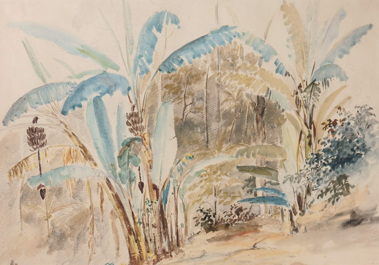 Banánovníky od Camille Jacob Pissarro