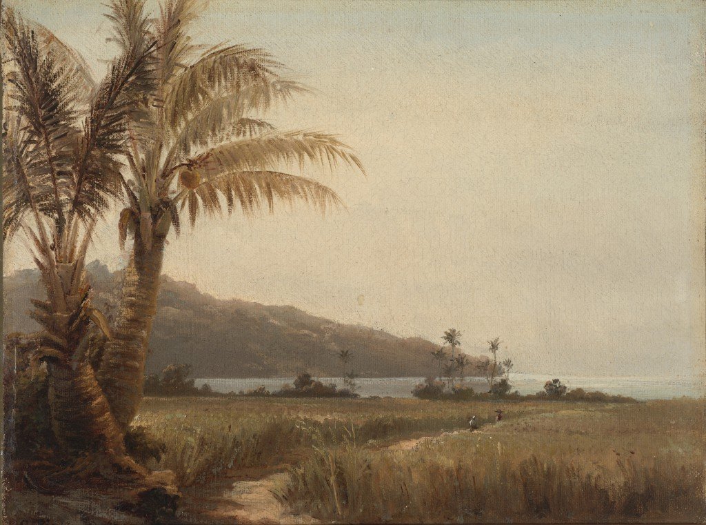 Kokosové palmy u moře od Camille Jacob Pissarro