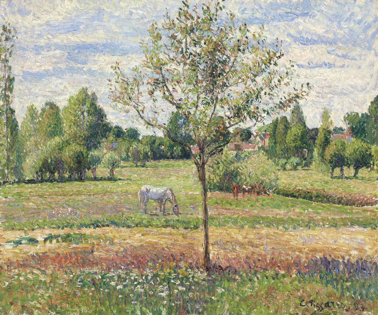 Louka se šedým koněm, Eragny od Camille Jacob Pissarro