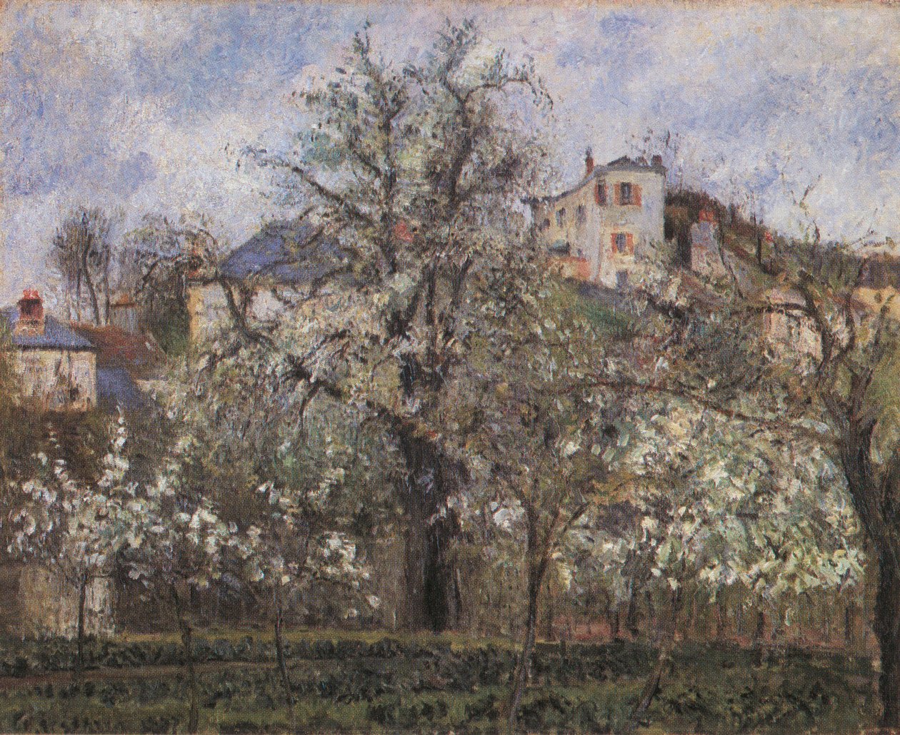 Zeleninová zahrada a kvetoucí stromy, jaro, Pontoise od Camille Jacob Pissarro