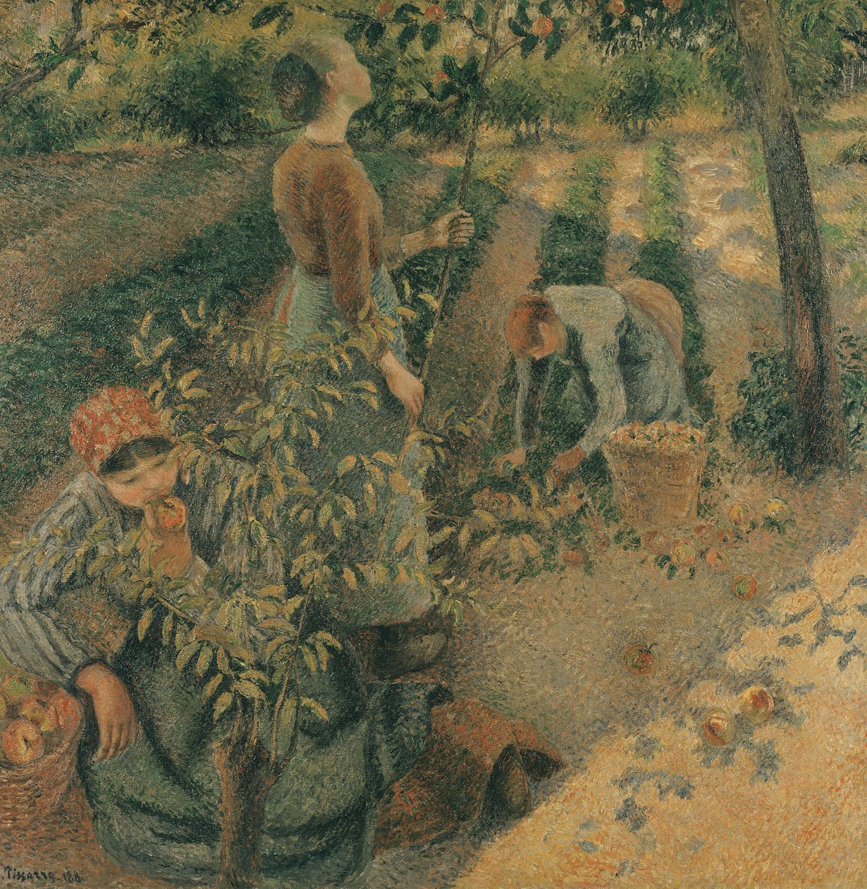 Sběrači jablek, 1886 od Camille Jacob Pissarro