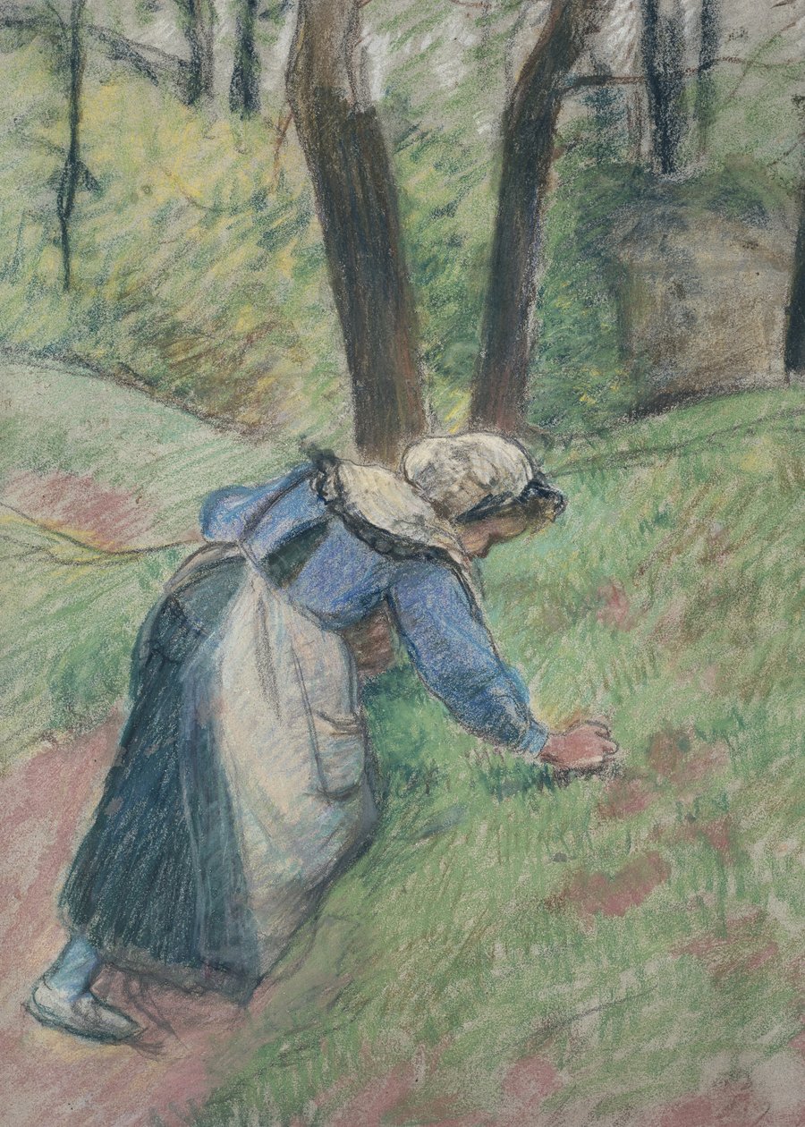 Selská žena plející trávu (pastel zvýrazněný místy růžovým mytím) od Camille Jacob Pissarro