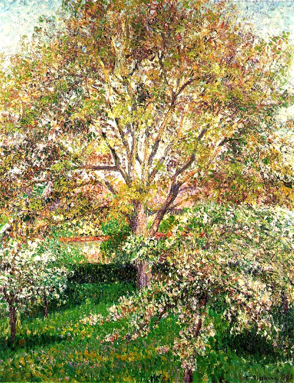 Stromy v květu v Eragny, 1895 od Camille Jacob Pissarro