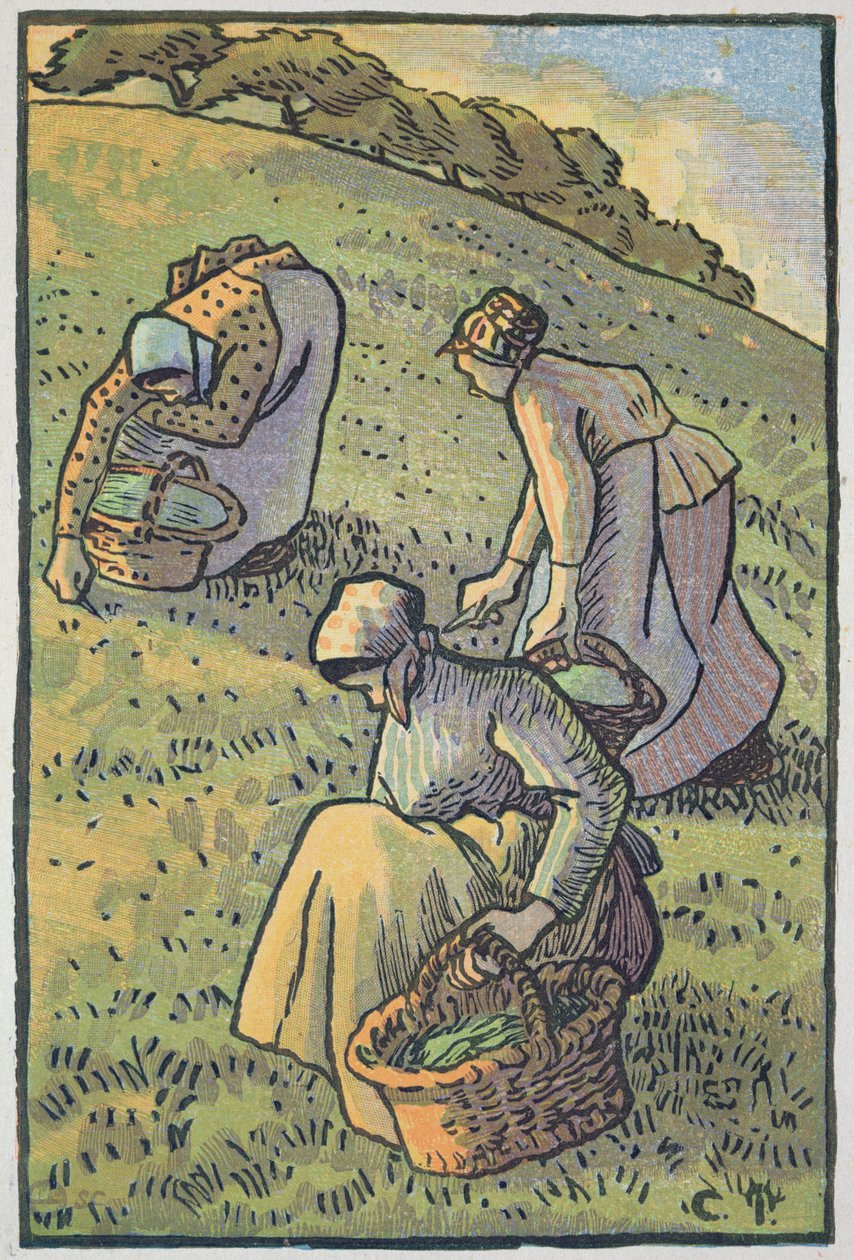 Women Gathering Mushrooms, z 